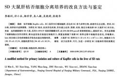 SD大鼠肝脏枯否细胞分离方法改进研究