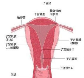 宫颈炎要做什么检查