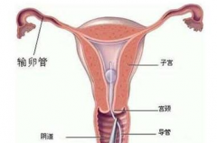 人流术后多久可以同房？