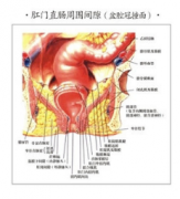 痔疮有哪些分类？